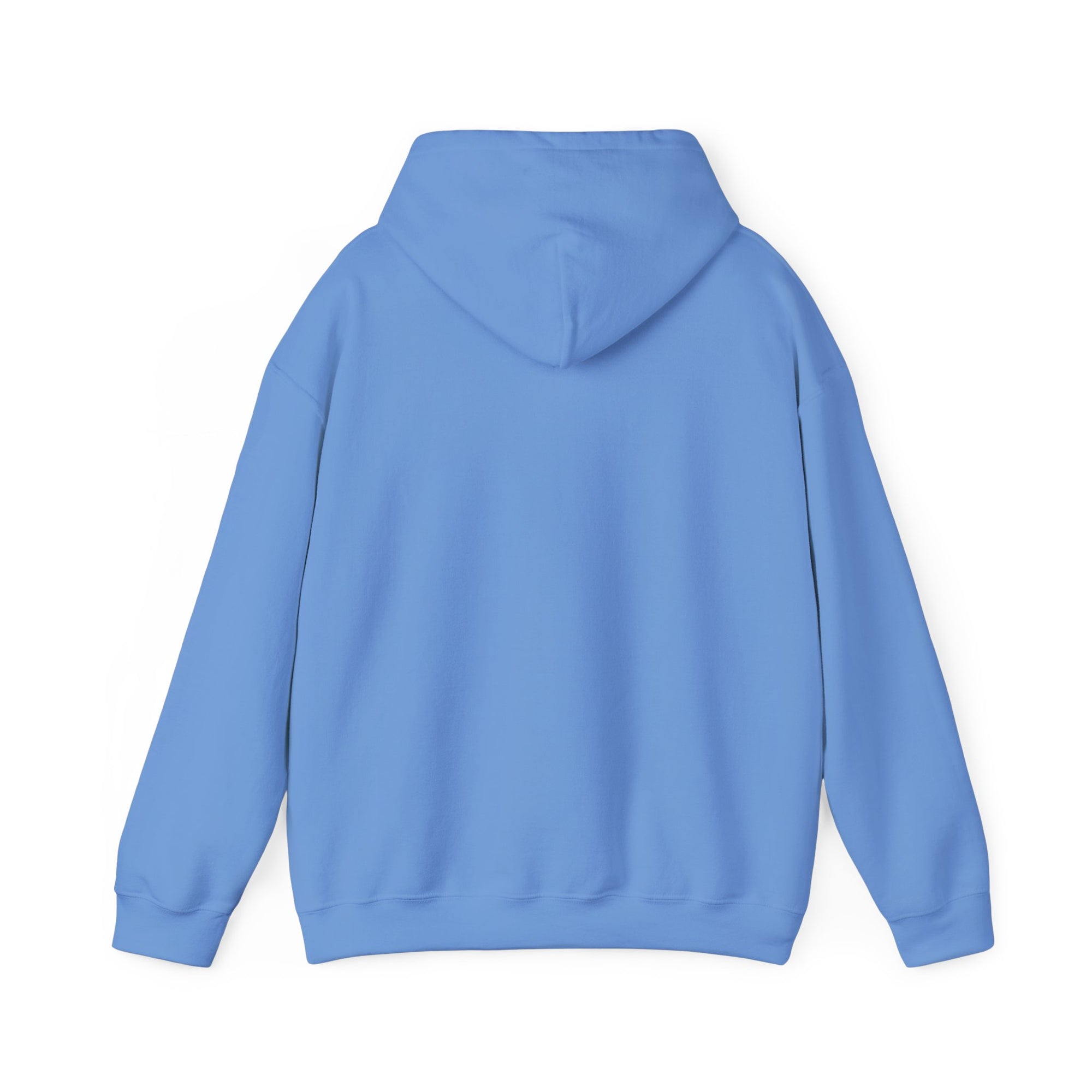 MoseyTube Hoodie 3910